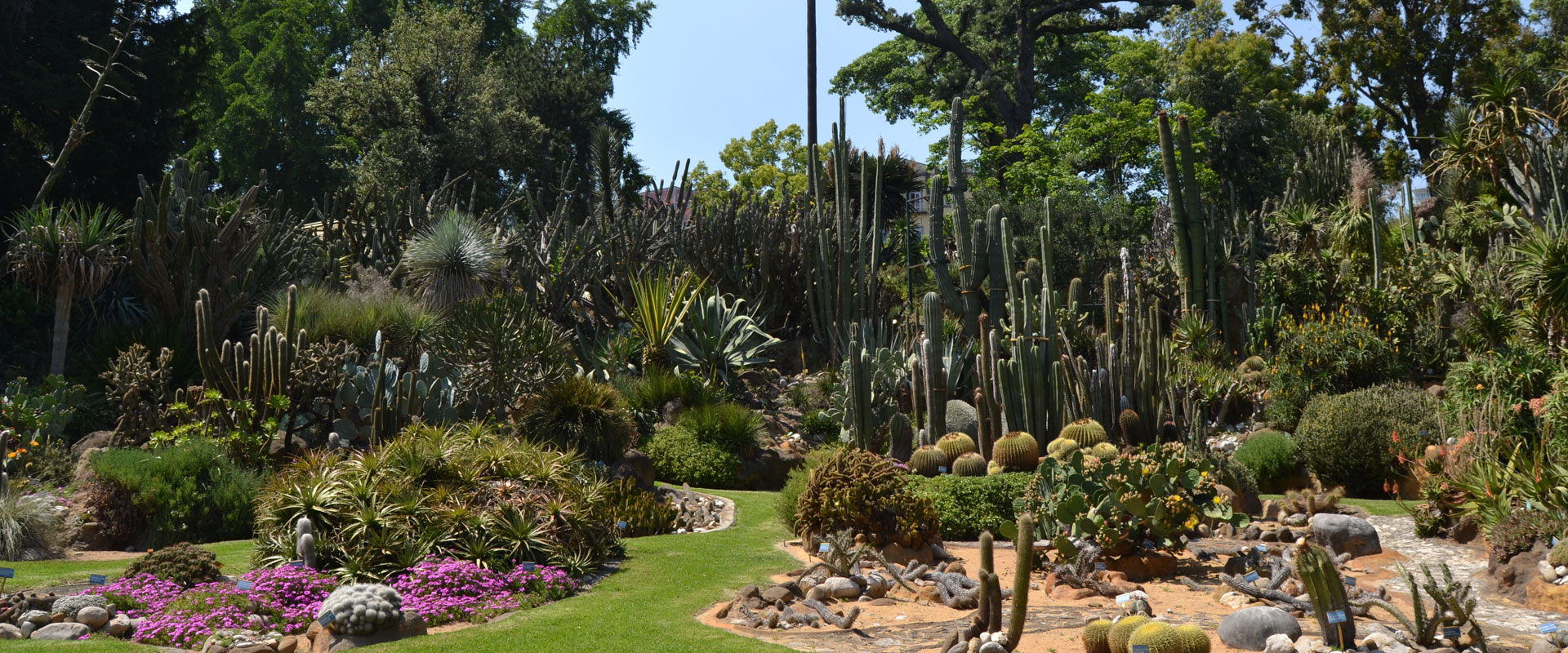 Arte nel Verde Napoli 2025: programma dell’evento al Real Orto Botanico dal 3 all’8 giugno